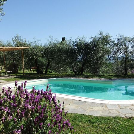 Agriturismo Il Castagnolino Сан-Джиминьяно Экстерьер фото