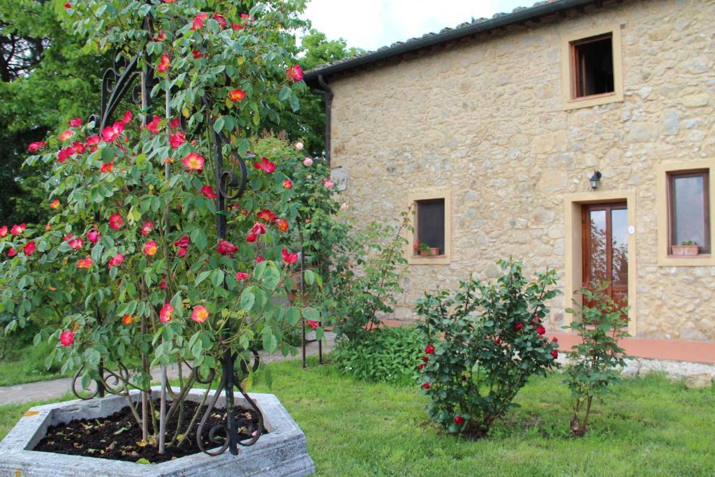 Agriturismo Il Castagnolino Сан-Джиминьяно Номер фото